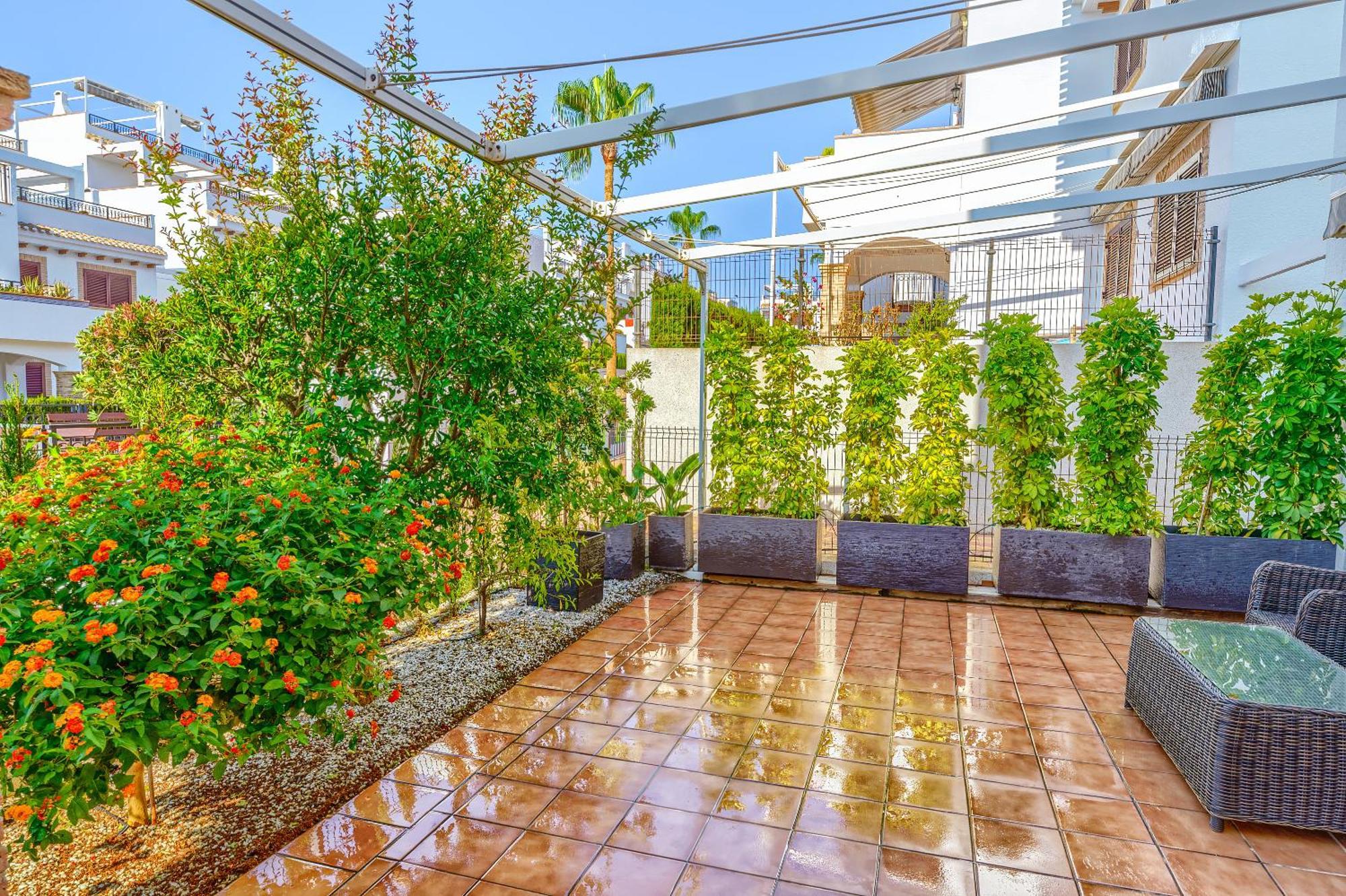 Sunny Apartments In La Mata, Azul Beach 2 Torrevieja Exterior photo